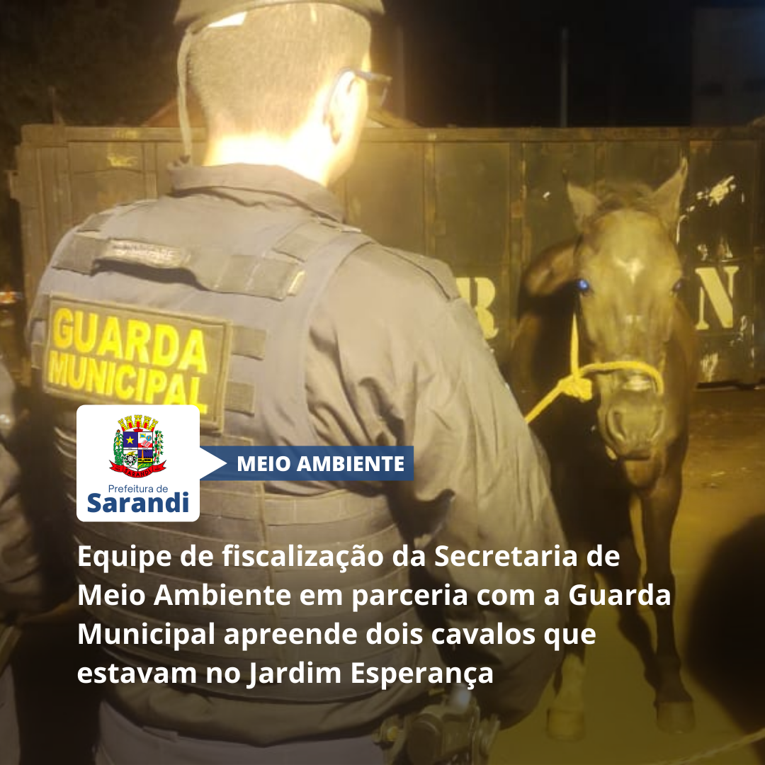 Equipe de fiscalização da Secretaria de Meio Ambiente em parceria com a Guarda Municipal apreende dois cavalos que estavam no Jardim Esperança